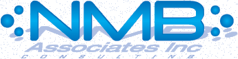 NMBA Associates IT Consulting